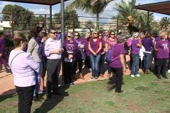 caravana_violeta3