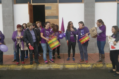 caravanavioleta3