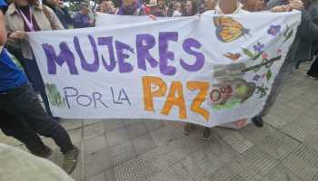 pazmani