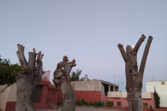 IMG_20240222_190912