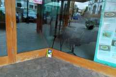 IMG-20211023-WA0034