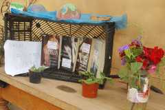 IMG-20211024-WA0010