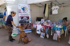 IMG-20220508-WA0013