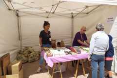 IMG-20220508-WA0017