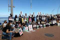 imagen1