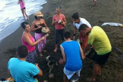 IMG-20130718-WA0002