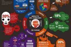 ImpactoConsumodeCarne