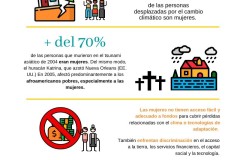 Infografiacambiogenero1