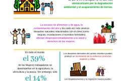Infografiacambiogenero2