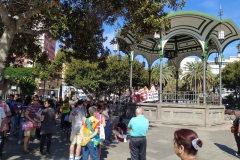 IMG_20240204_120246