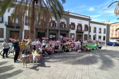 IMG_20240204_125357