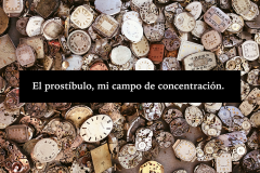 textoamelia