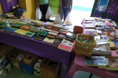 alimentos1