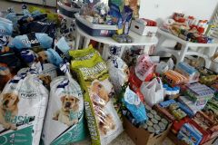 alimentos2