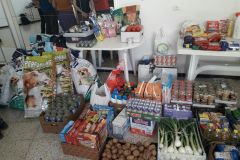 alimentos3