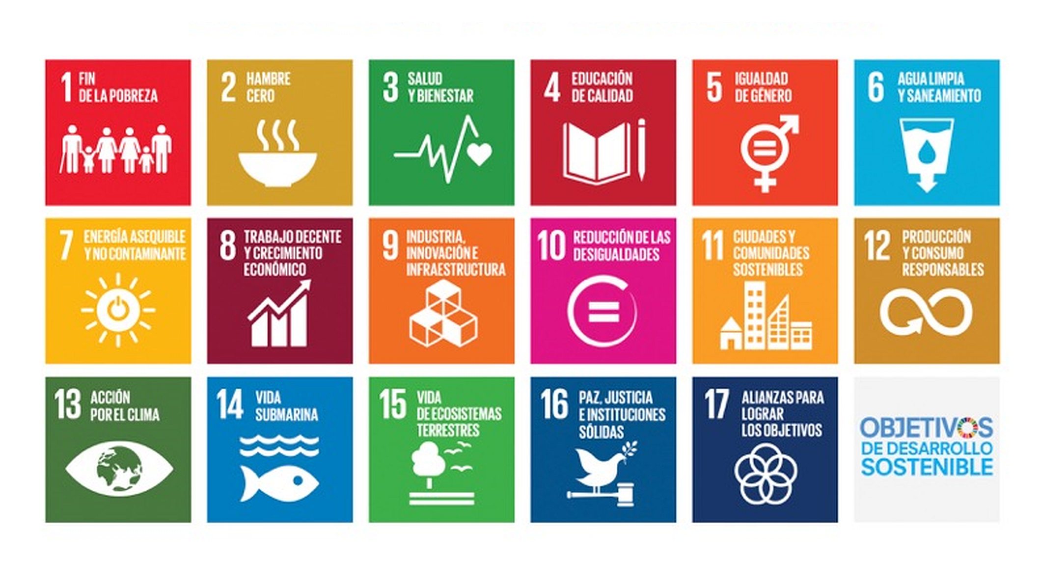 derechos humanos