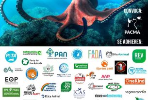 Free Octopus