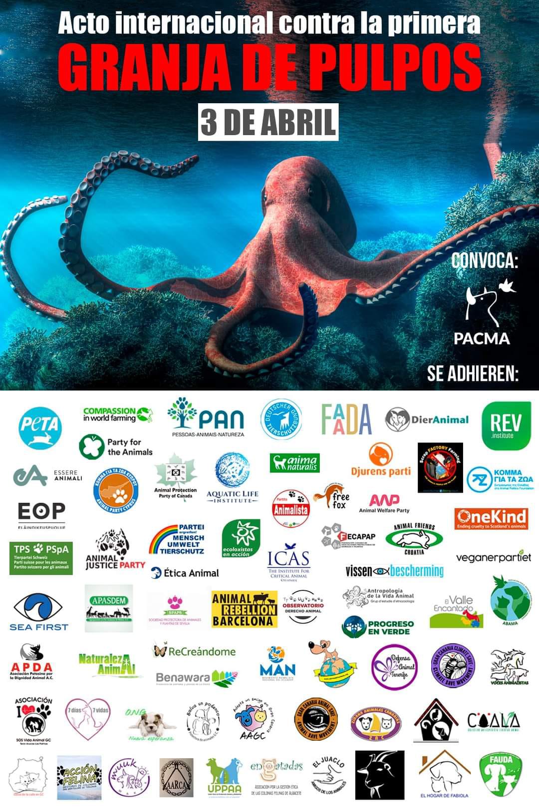 Free Octopus