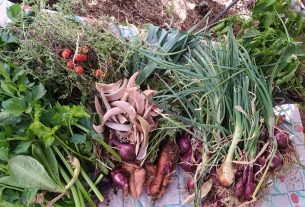 Huerta