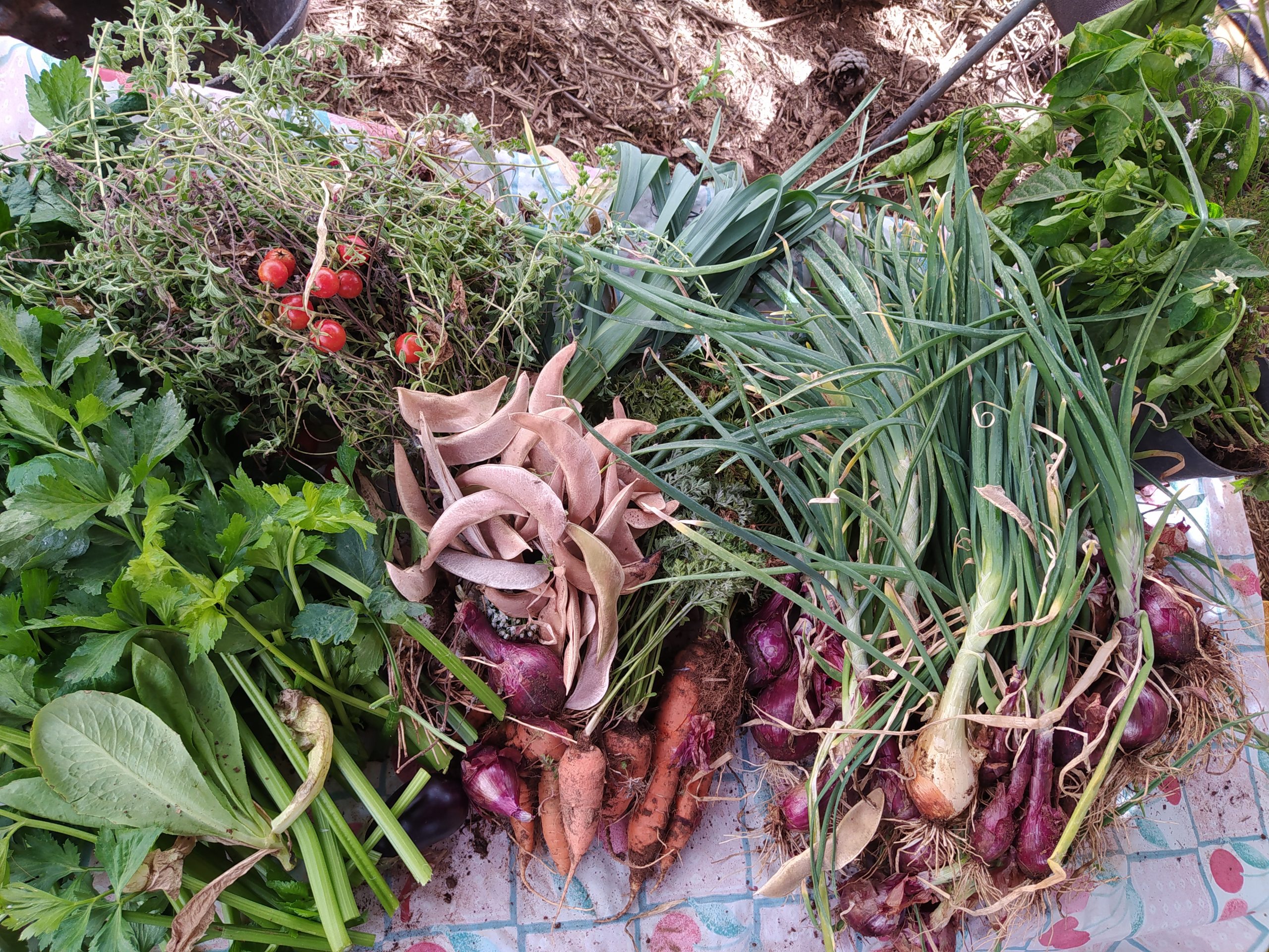 Huerta